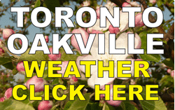Click for Environment Canada Oakville Weather Forecast