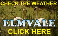 Click for Environment Canada Elmsvale Weather Forecast