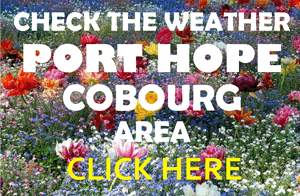 Click for Environment Canada Port Cobourg Weather Forecast