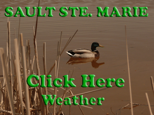 Click for Environment Canada  Sault Ste. Marie Weather Forecast