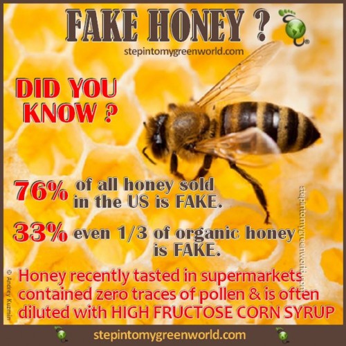 fake-honey