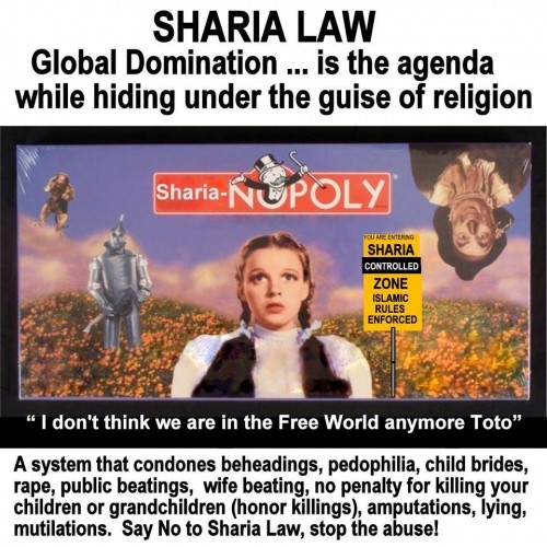 sharia-insane